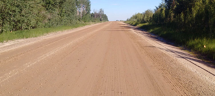 RoadLock 450